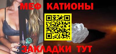 индика Гатчина