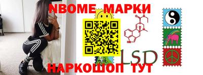 индика Гатчина