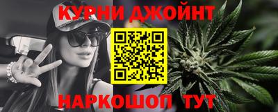 индика Гатчина