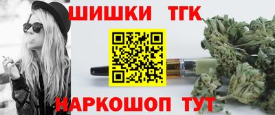 индика Гатчина