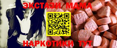 индика Гатчина