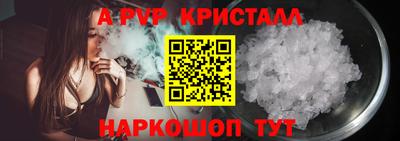индика Гатчина