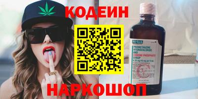 индика Гатчина