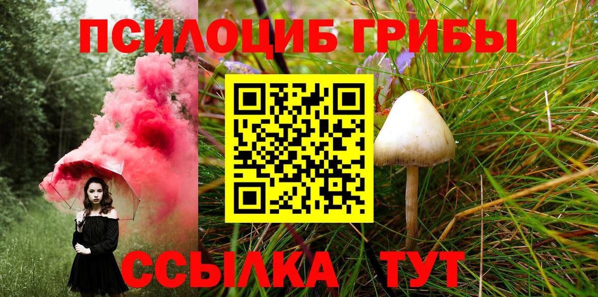 Югорск  Псилоцибиновые грибы ЛСД  Вход с VPN  Псилоцибиновые грибы Magic Shrooms 